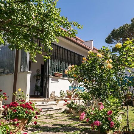 Alloggio Per Uso Turistico Villa Lido dei Pini Luaran gambar