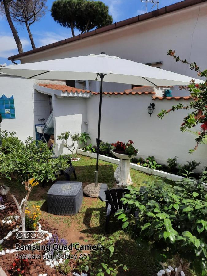Alloggio Per Uso Turistico Villa Lido dei Pini Luaran gambar