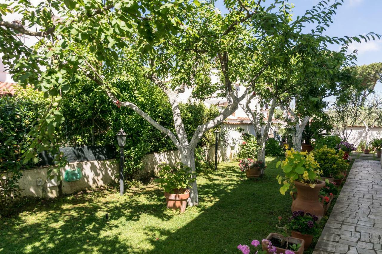 Alloggio Per Uso Turistico Villa Lido dei Pini Luaran gambar